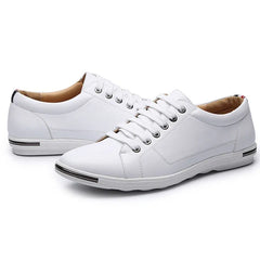 Men's Oxford Lace Up Shoe